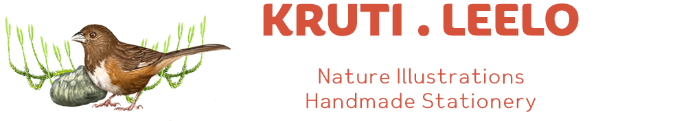 Kruti.leelo